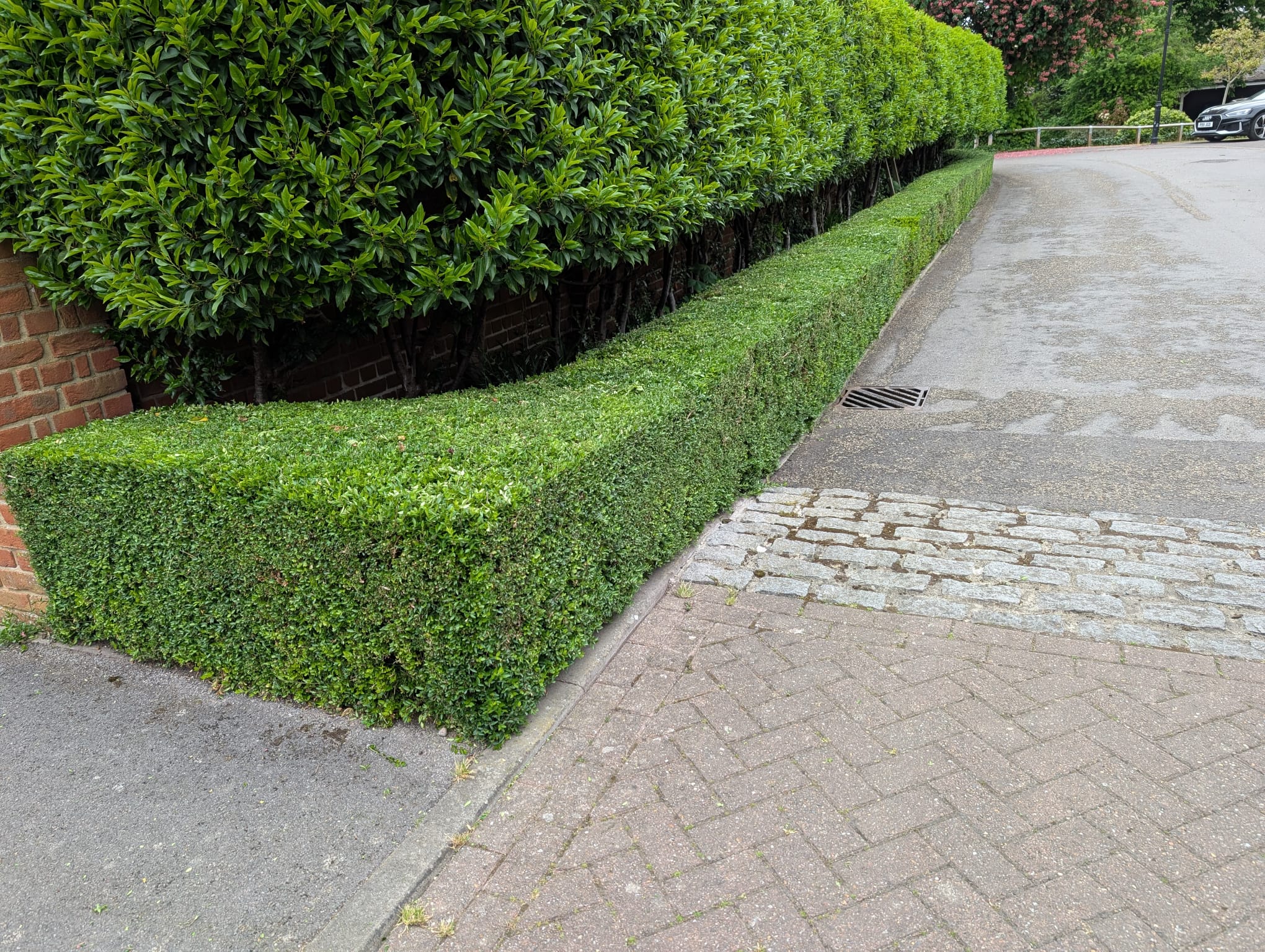 Regular Trimming